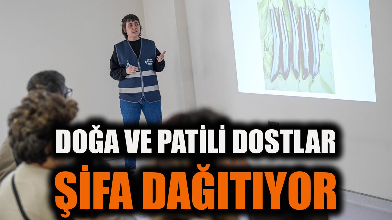 Doğa ve patili dostlar şifa dağıtıyor