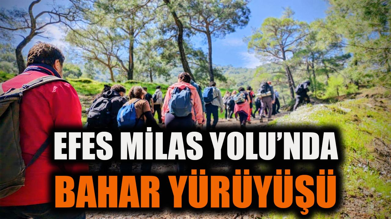 Efes Mimas Yolu’nda bahar yürüyüşü