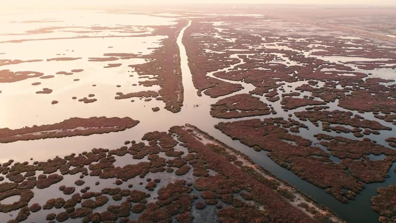 Gediz Havzası’nda kirlilik artıyor