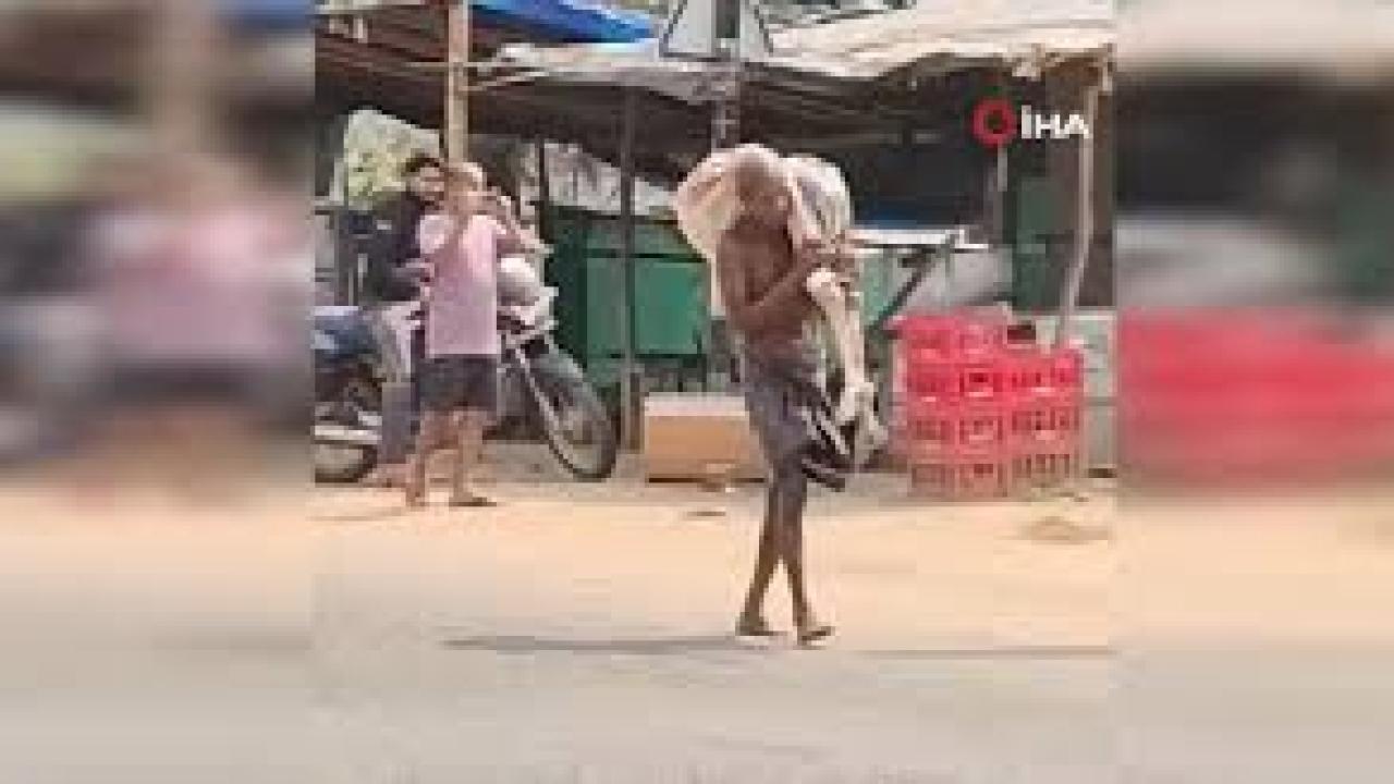 Hindistan'da akıl almaz olay