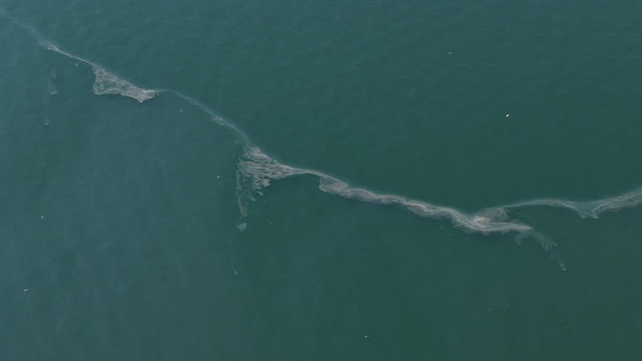 İzmir Körfezi göz göre göre kirletiliyor