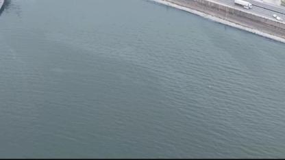 İzmir Körfezi’nde alarm: Aynı tehdit 11. kez görüldü