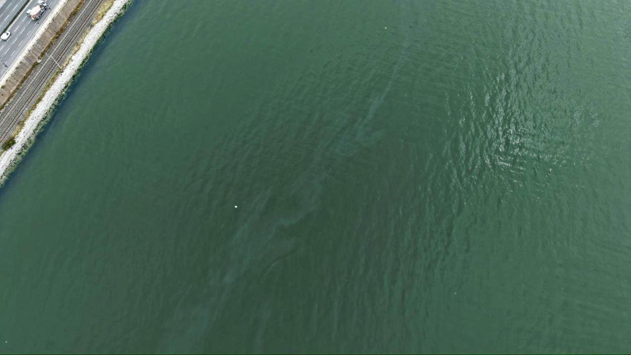 İzmir Körfezi’nde kirlilik alarmı