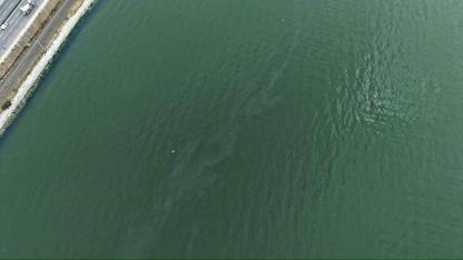 İzmir Körfezi’nde kirlilik alarmı