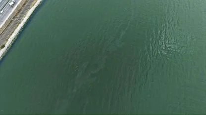 İzmir Körfezi’nde kirlilik alarmı