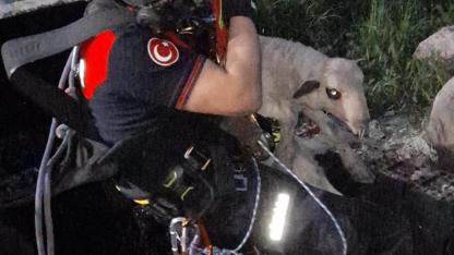 İzmir'de kuyuya düşen kuzuyu itfaiye kurtardı