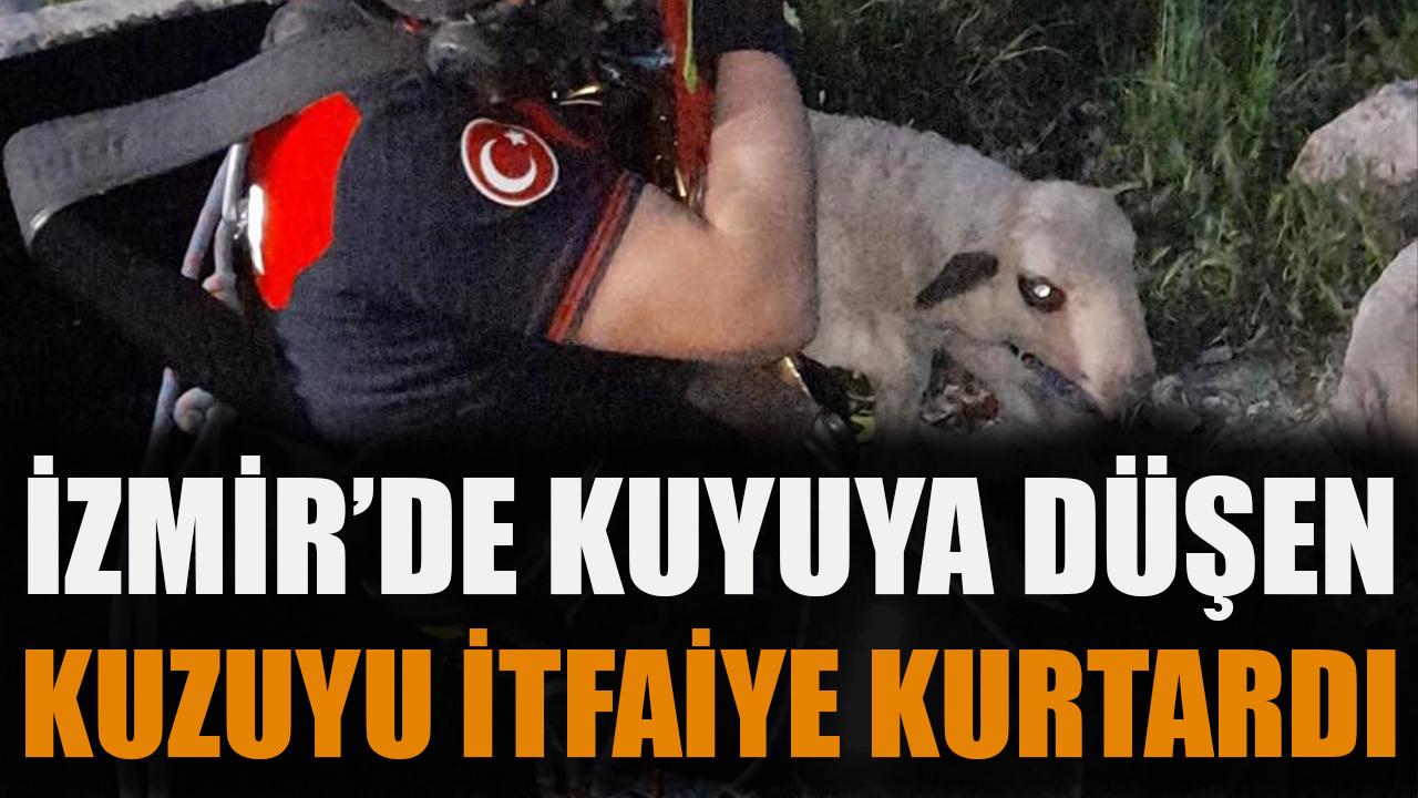 İzmir'de kuyuya düşen kuzuyu itfaiye kurtardı