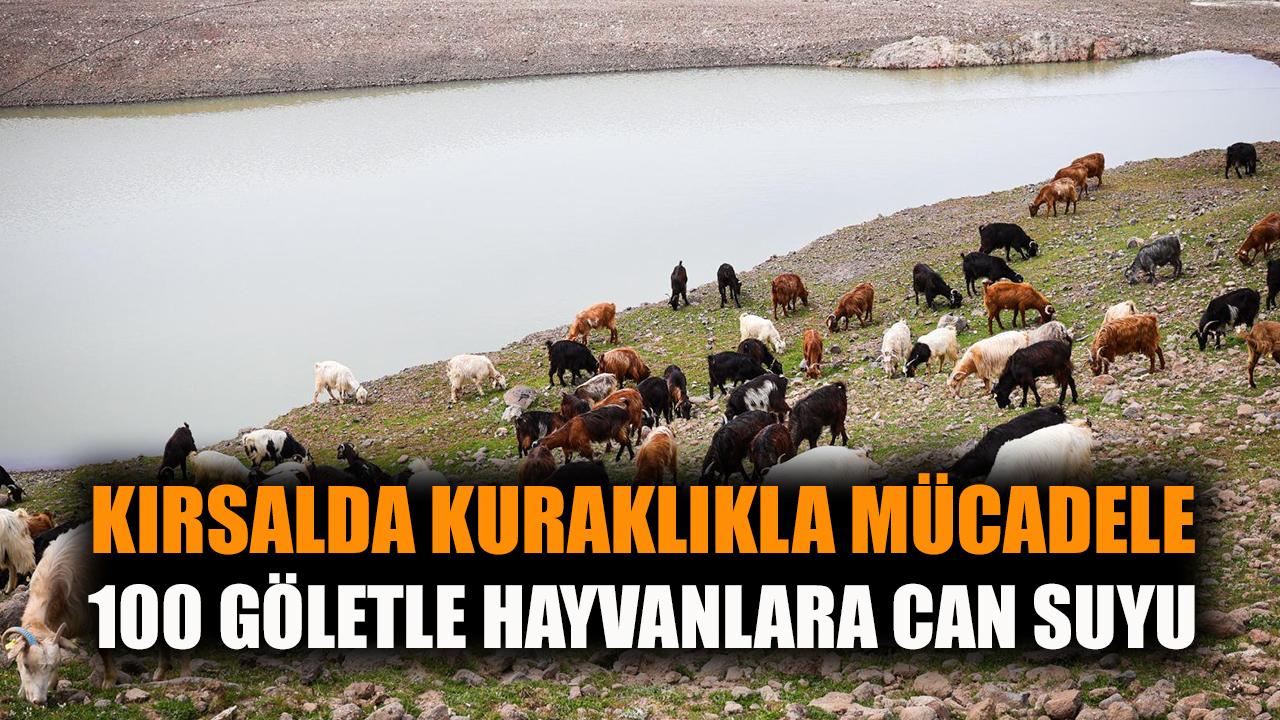 100 göletle hayvanlara can suyu