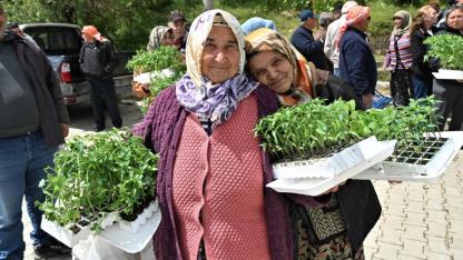 Bornova’dan üreticiye can suyu: 150 bin yazlık sebze fidesi