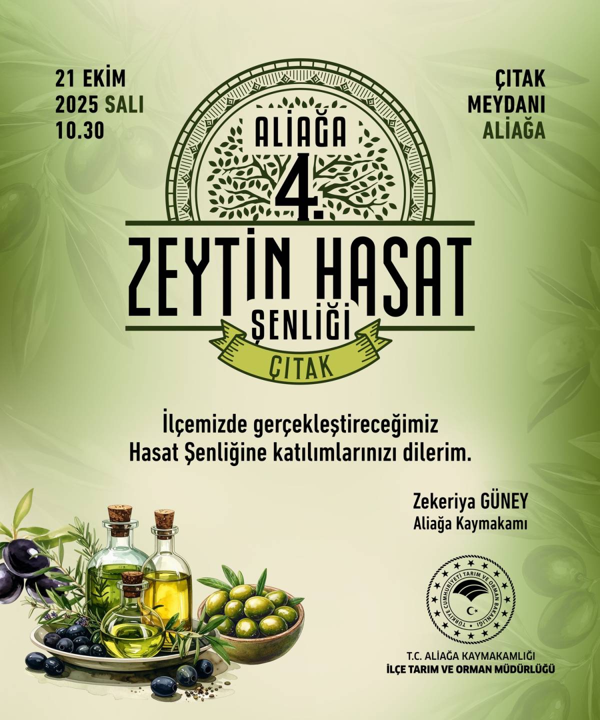 Aliağa, 4. Zeytin Hasat Şenliği’nde Buluşuyor