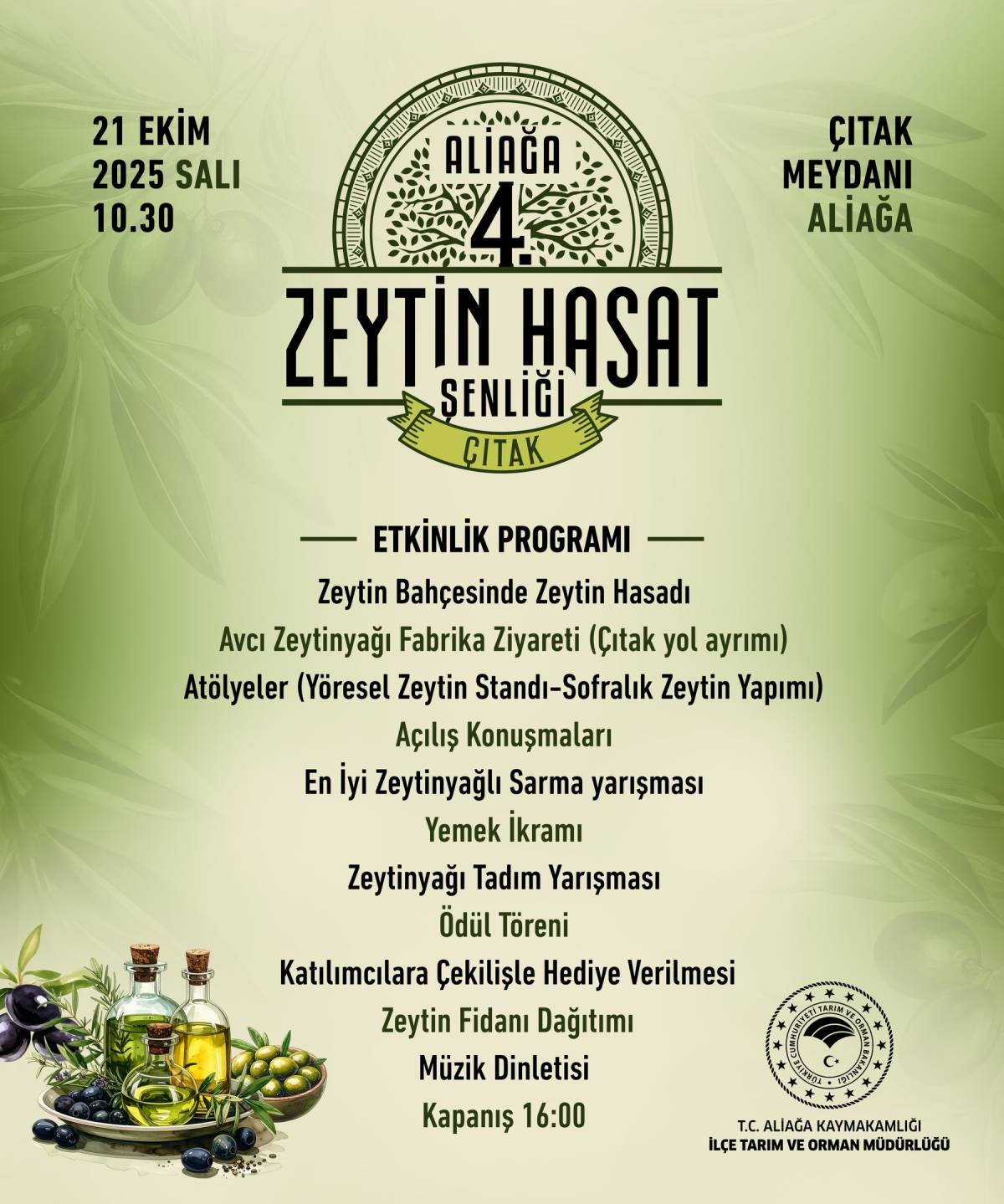 Aliağa, 4. Zeytin Hasat Şenliği’nde Buluşuyor
