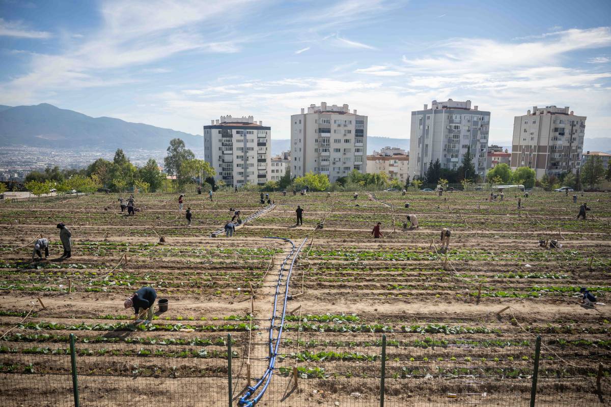 Kadınlar toprakla, Bornova umutla buluşuyor