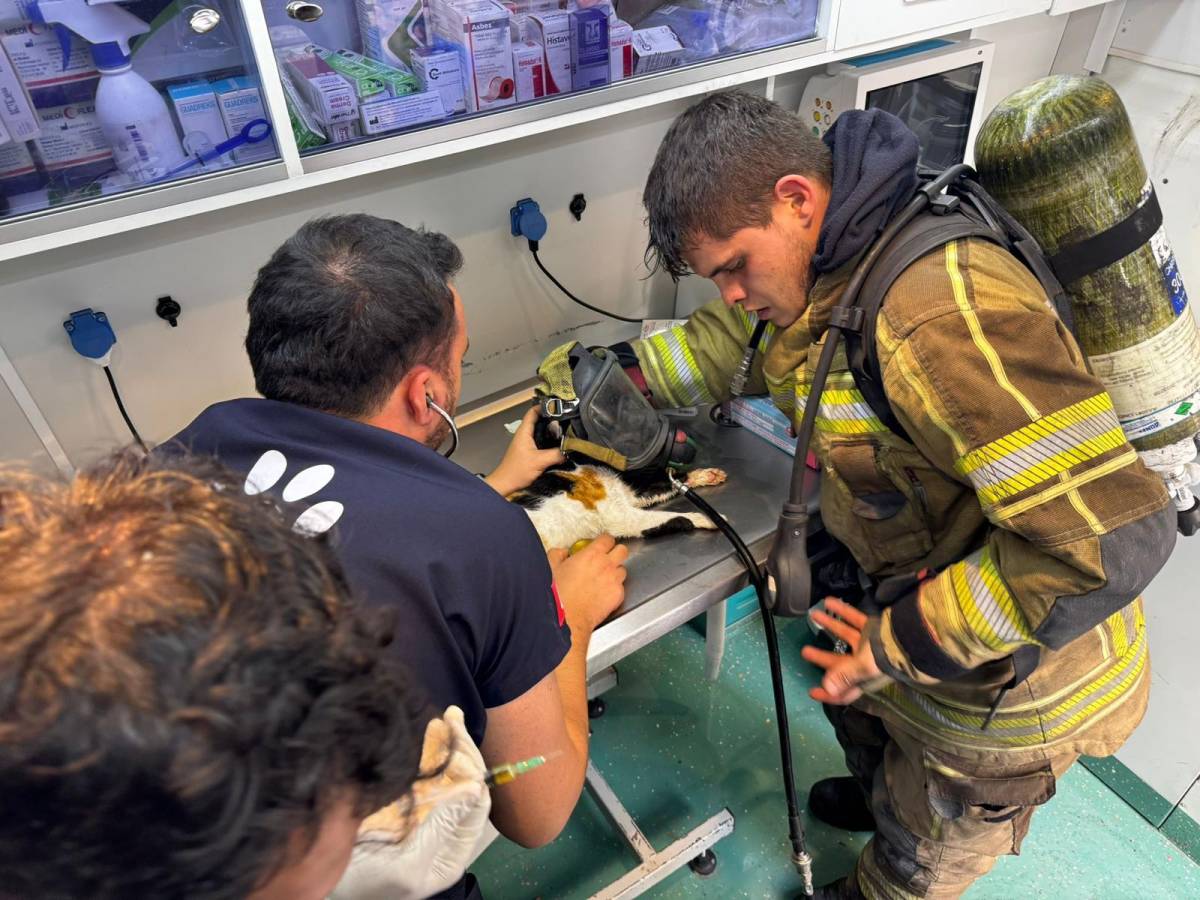 İzmir İtfaiyesi'nden can dostlara hayati müdahale