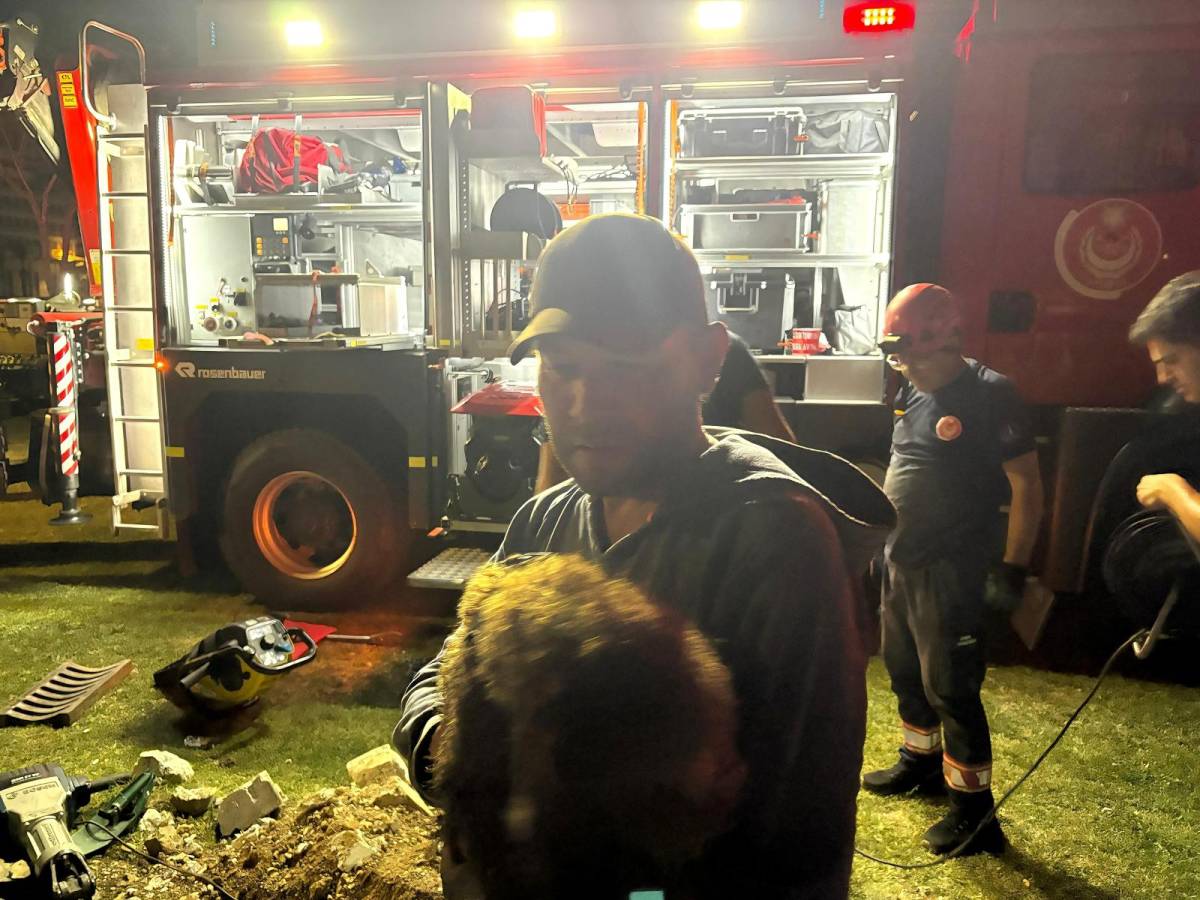 İzmir İtfaiyesi'nden can dostlara hayati müdahale