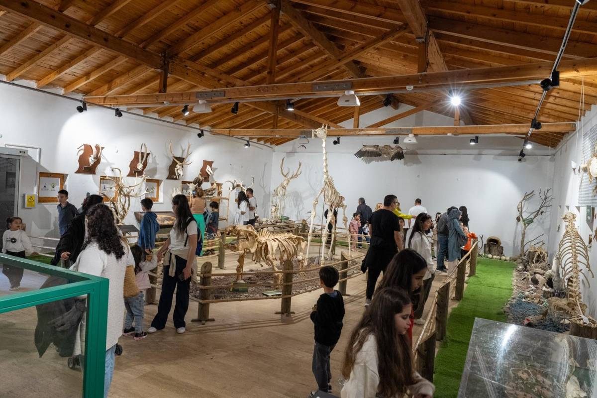 İzmir Doğal Yaşam Parkı’na ziyaretçi akını