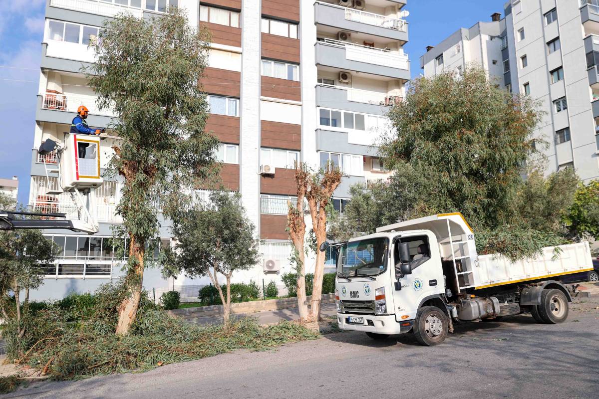 Buca’da budama seferberliği