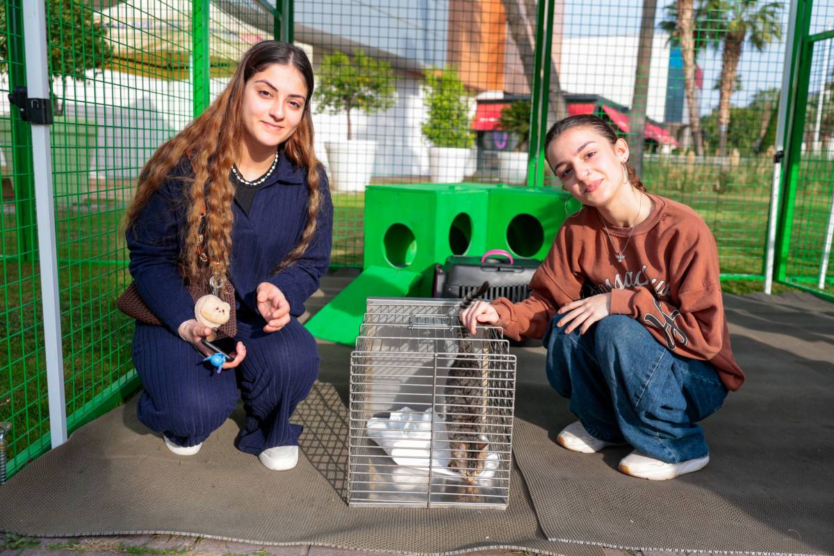 Konak’ta kalpler patili dostlar için attı