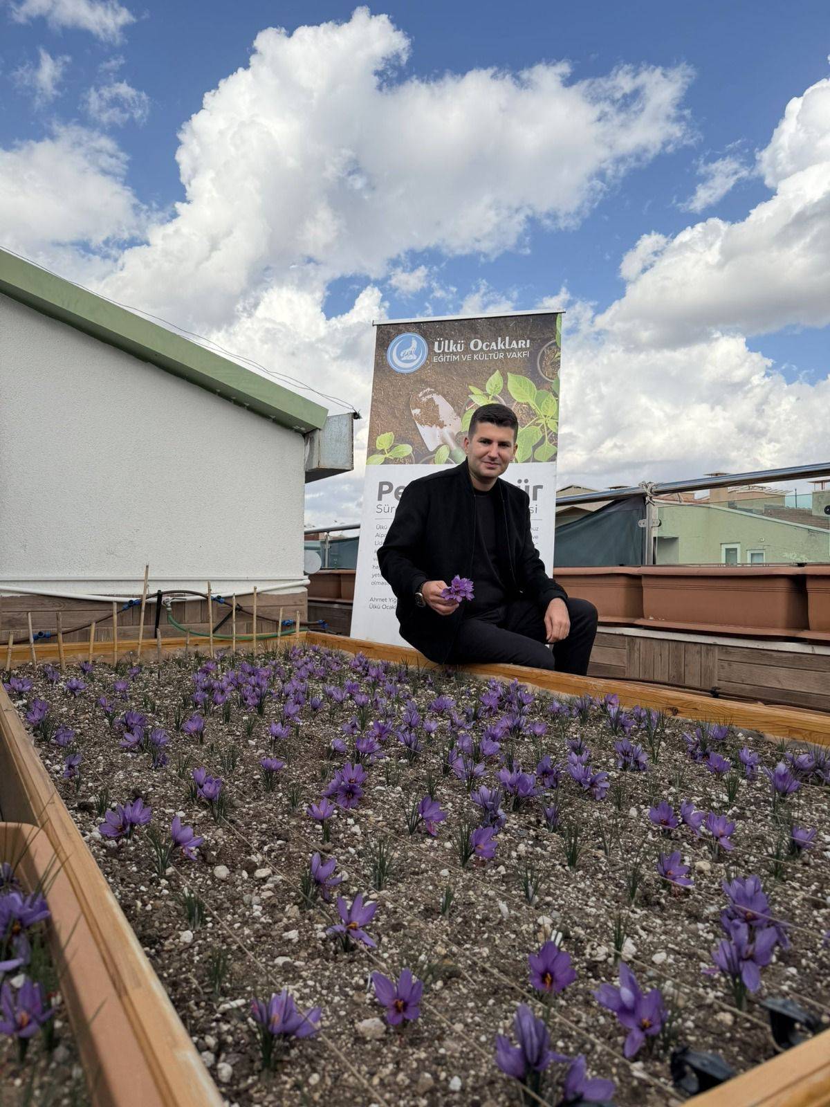 Ülkü Ocakları Genel Merkezi’nin Terasında Safran Hasadı
