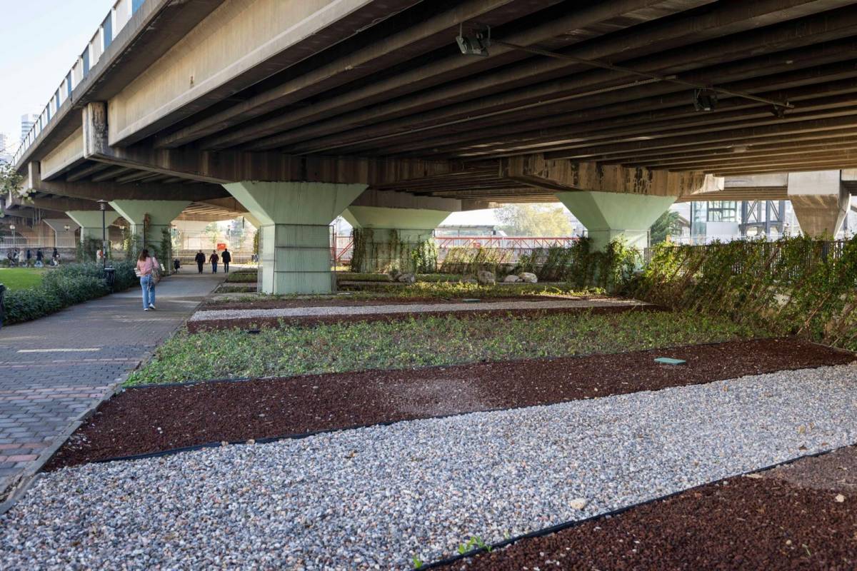 İzmir’in çehresi su tasarruflu bitkilerle güzelleşiyor