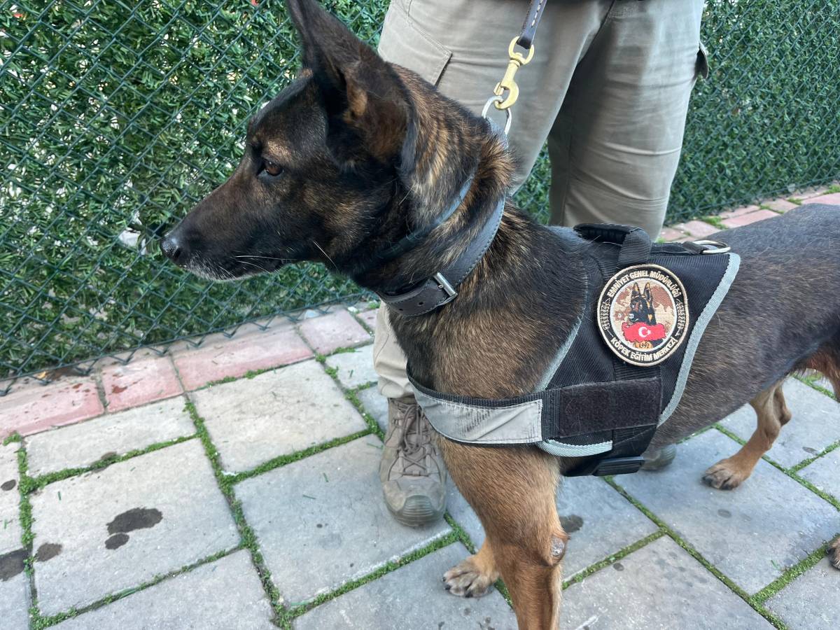 İzmir'de tek operasyonda 3 milyon uyuşturucu hap ele geçti