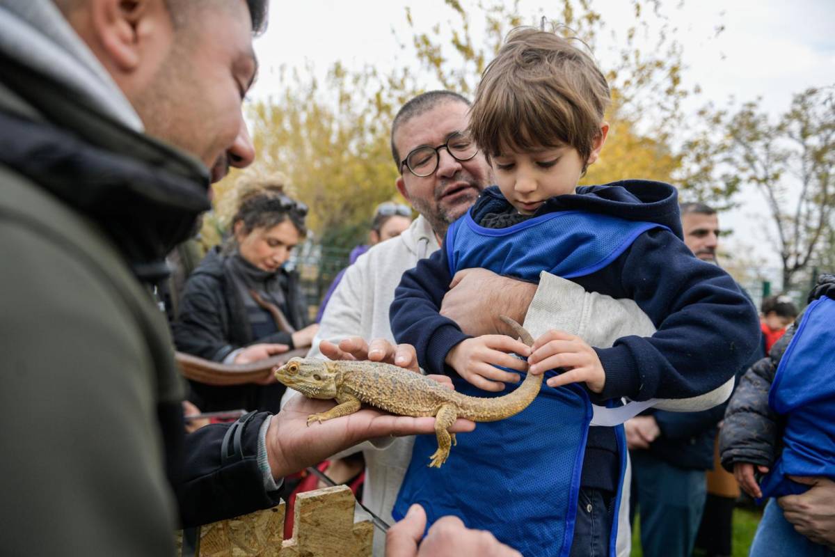 Patili Dostumuz Projesi engelli çocukların hayatına dokundu