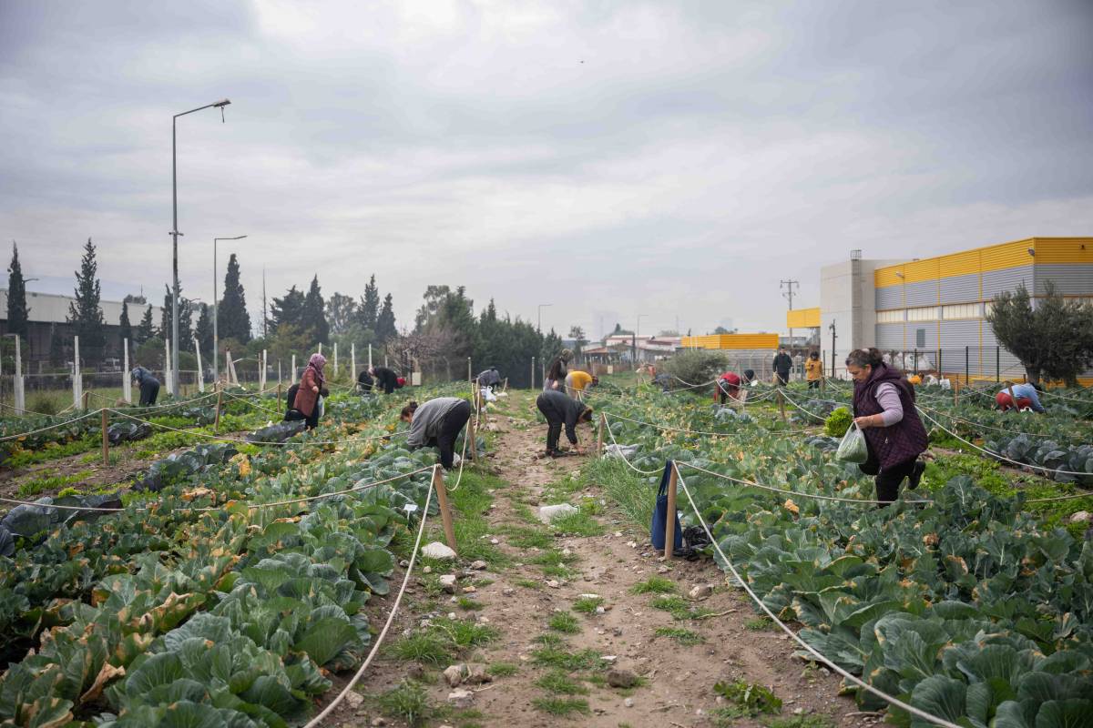 Bornova’da Kent Bostanlarında büyük hasat coşkusu