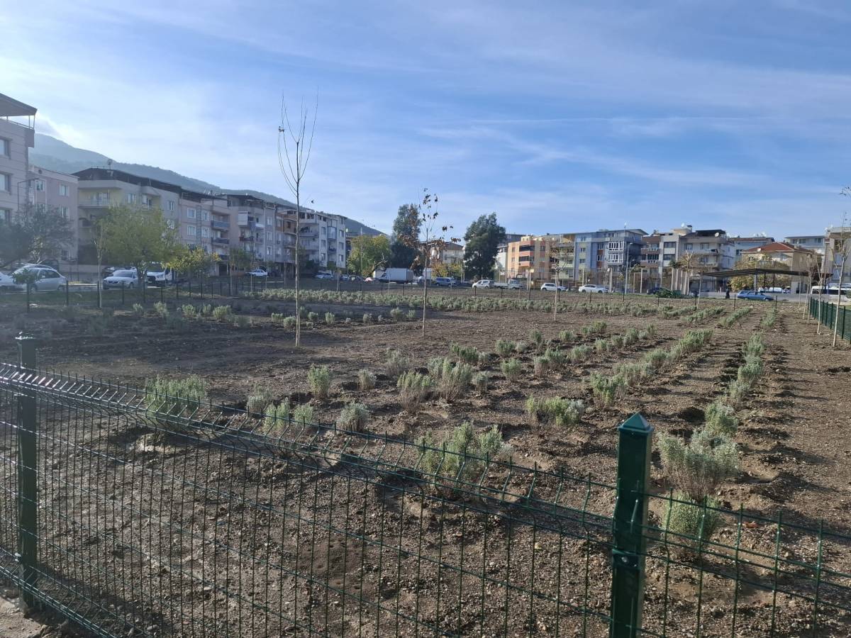 Kemalpaşa Belediyesi Vatandaşın Arazisine Çöktü İddiası