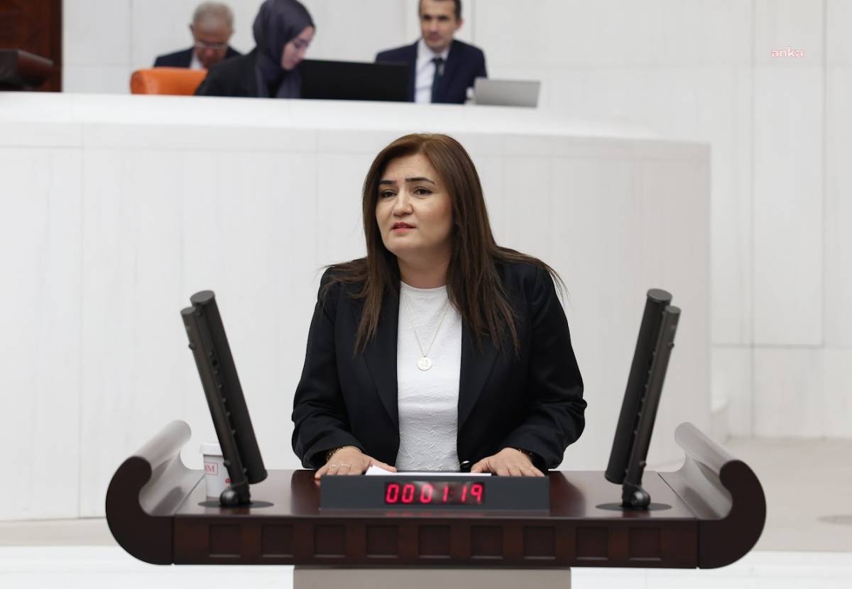 CHP'li Kılıç: Çiftçi Batıyor, Vatandaş Et Yiyemiyor