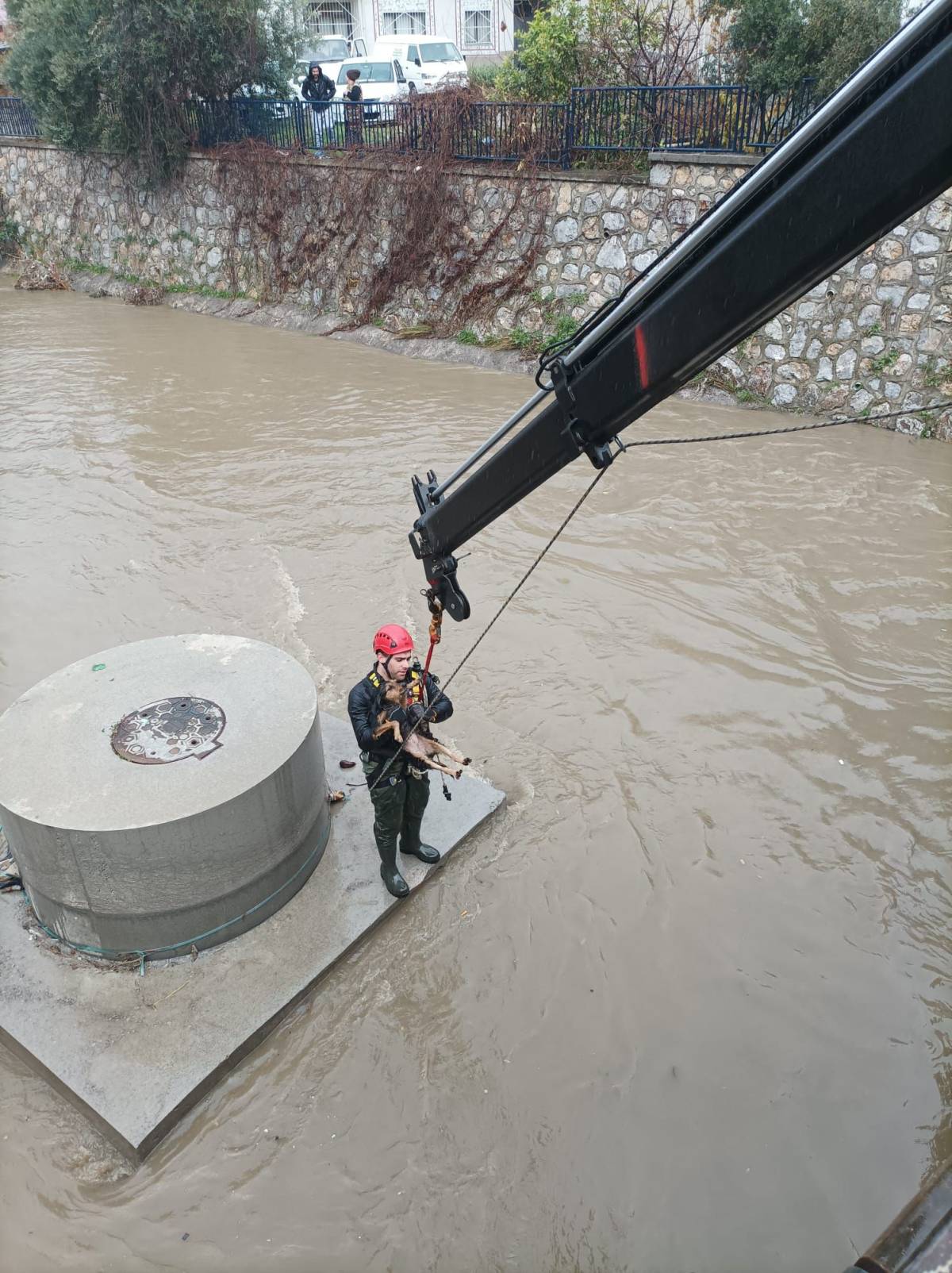Dereye düşen köpek itfaiye ekipleri tarafından kurtarıldı