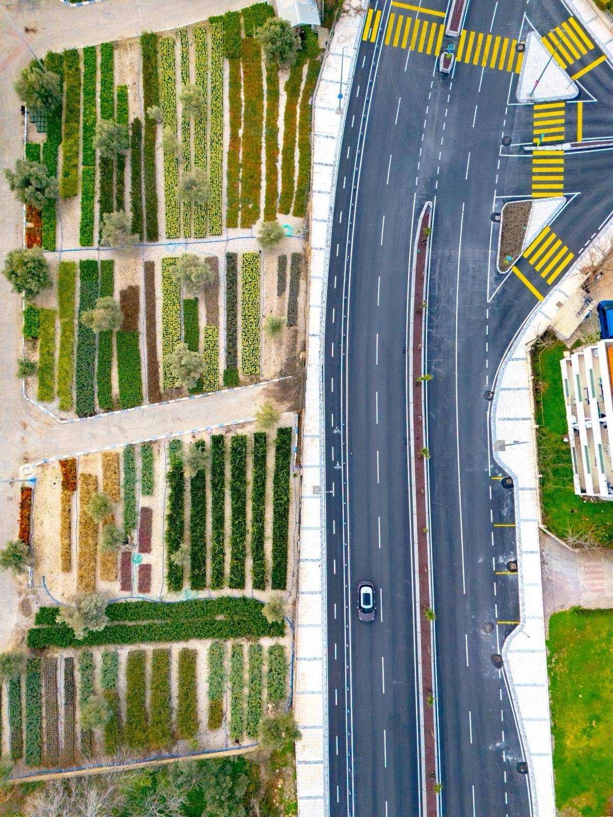İzmir’in renkleri Büyükşehir fidanlıklarında filizleniyor