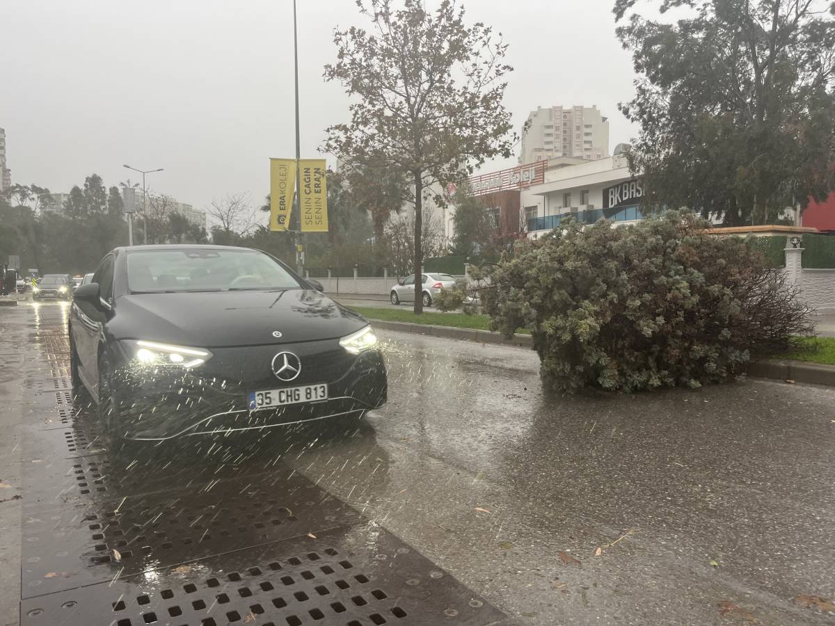 İzmir'de fırtına ağaçları devirdi