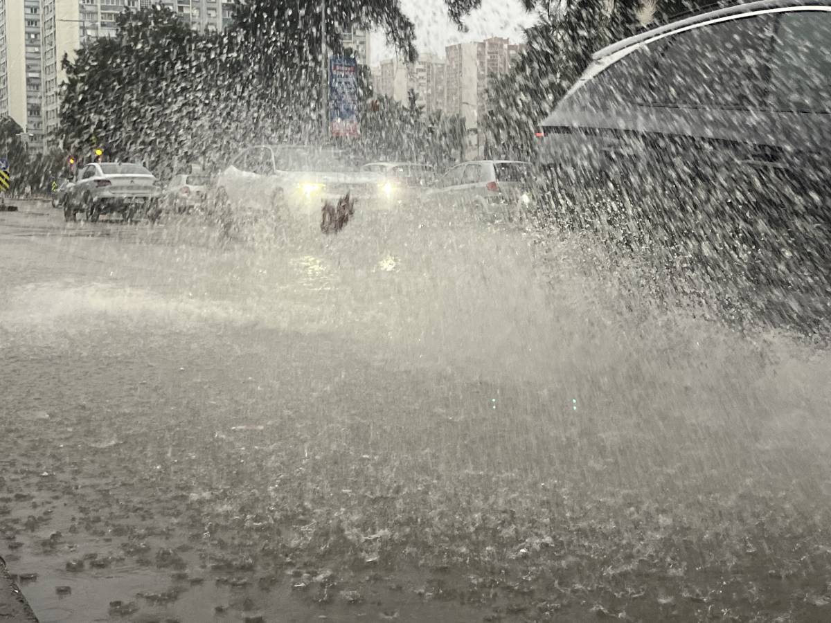 İzmir'de fırtına ağaçları devirdi