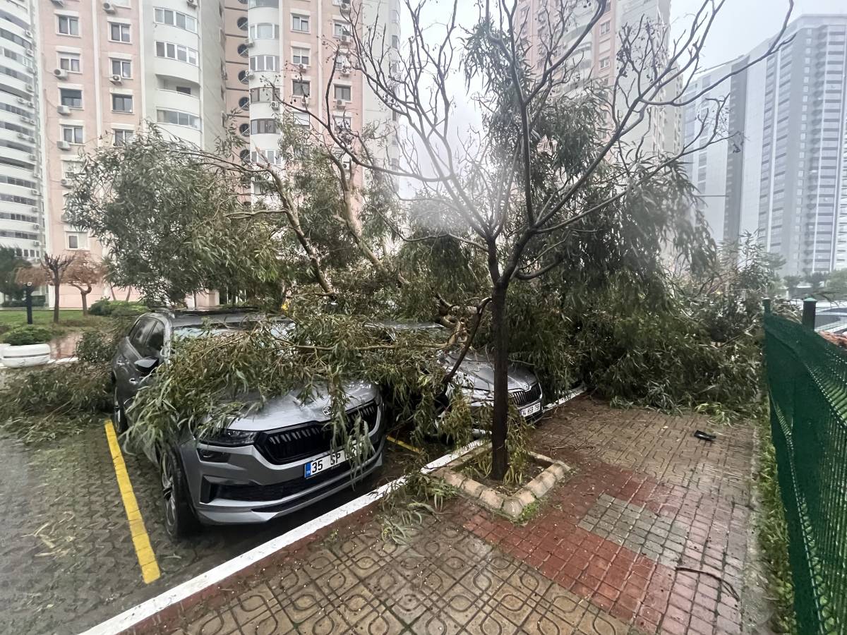 İzmir'de fırtına ağaçları devirdi
