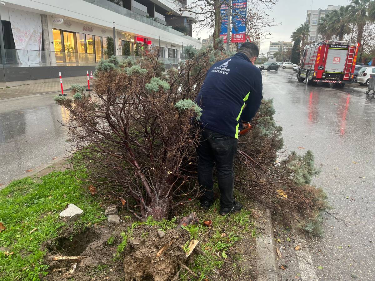 İzmir'de fırtına ağaçları devirdi