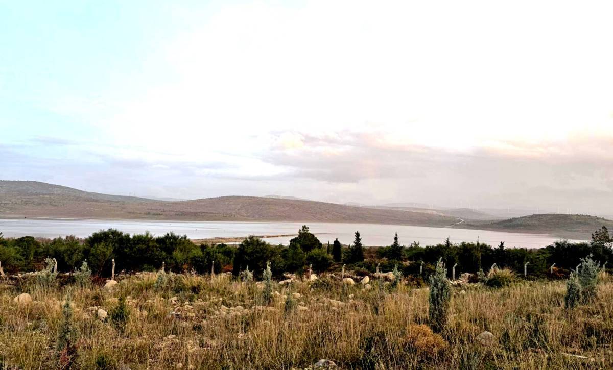 Kutlu Aktaş Barajı’nda sevindirici yükseliş