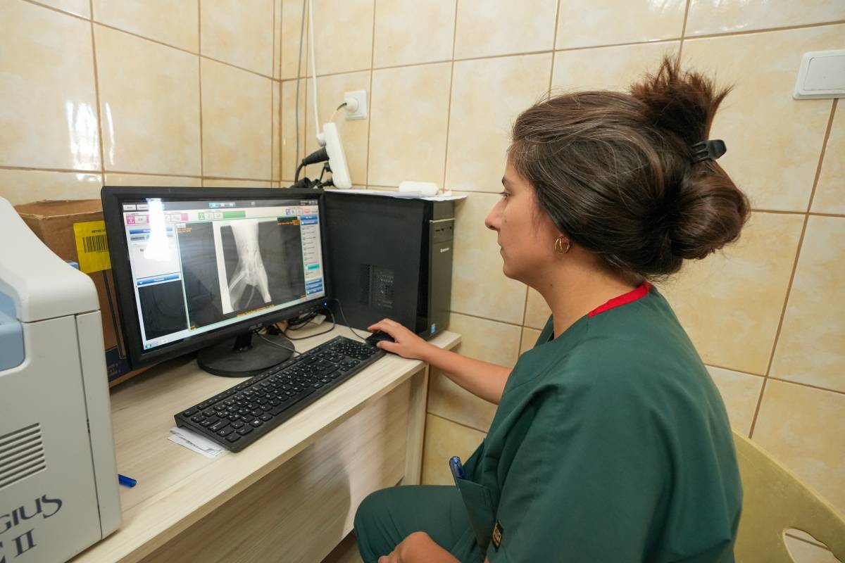 Gaziemir Belediyesi 6 bin 222 can dostun yaşamına dokundu