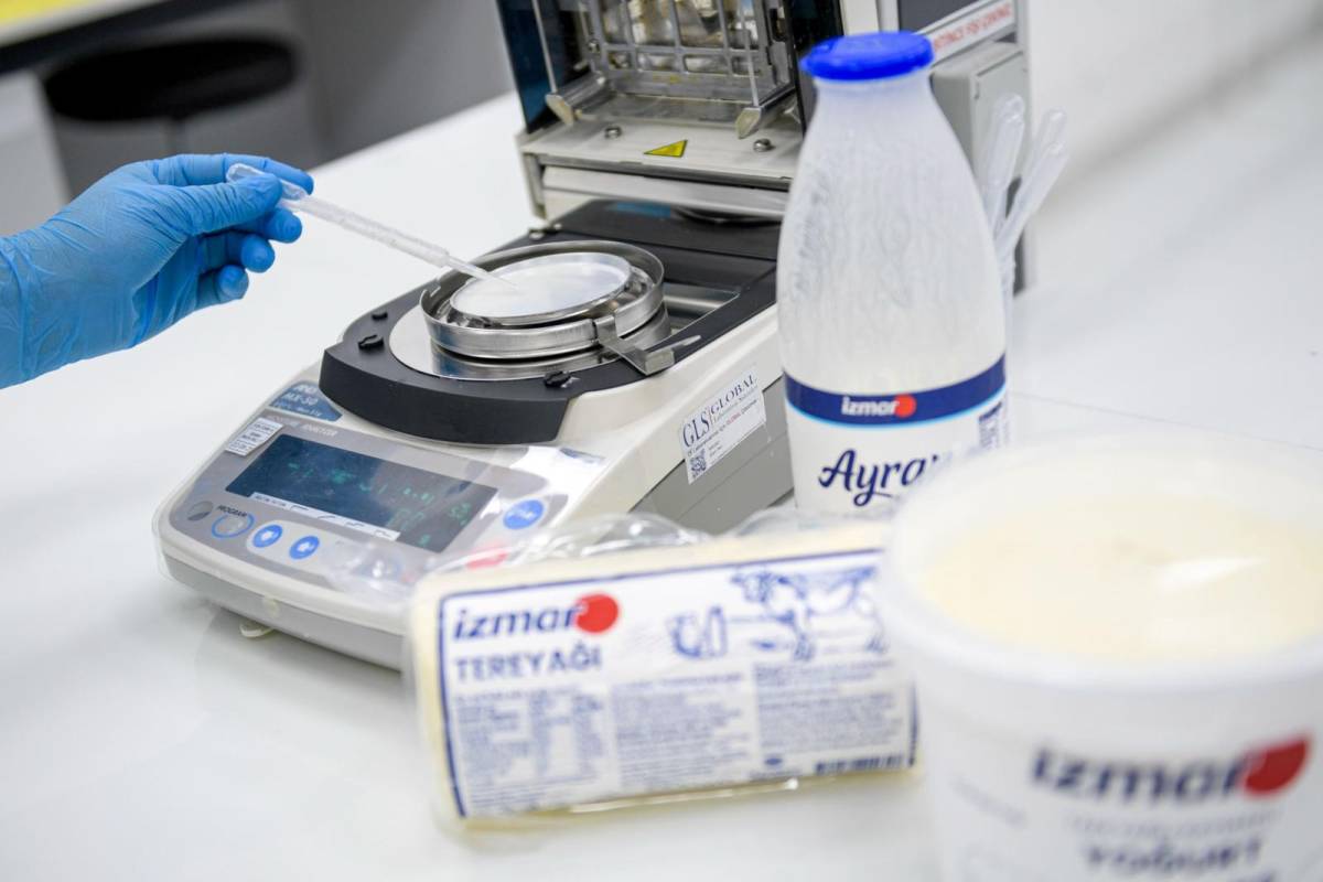 Büyükşehir’den peynir hamlesi : 500 gramlık kaşar 165 TL