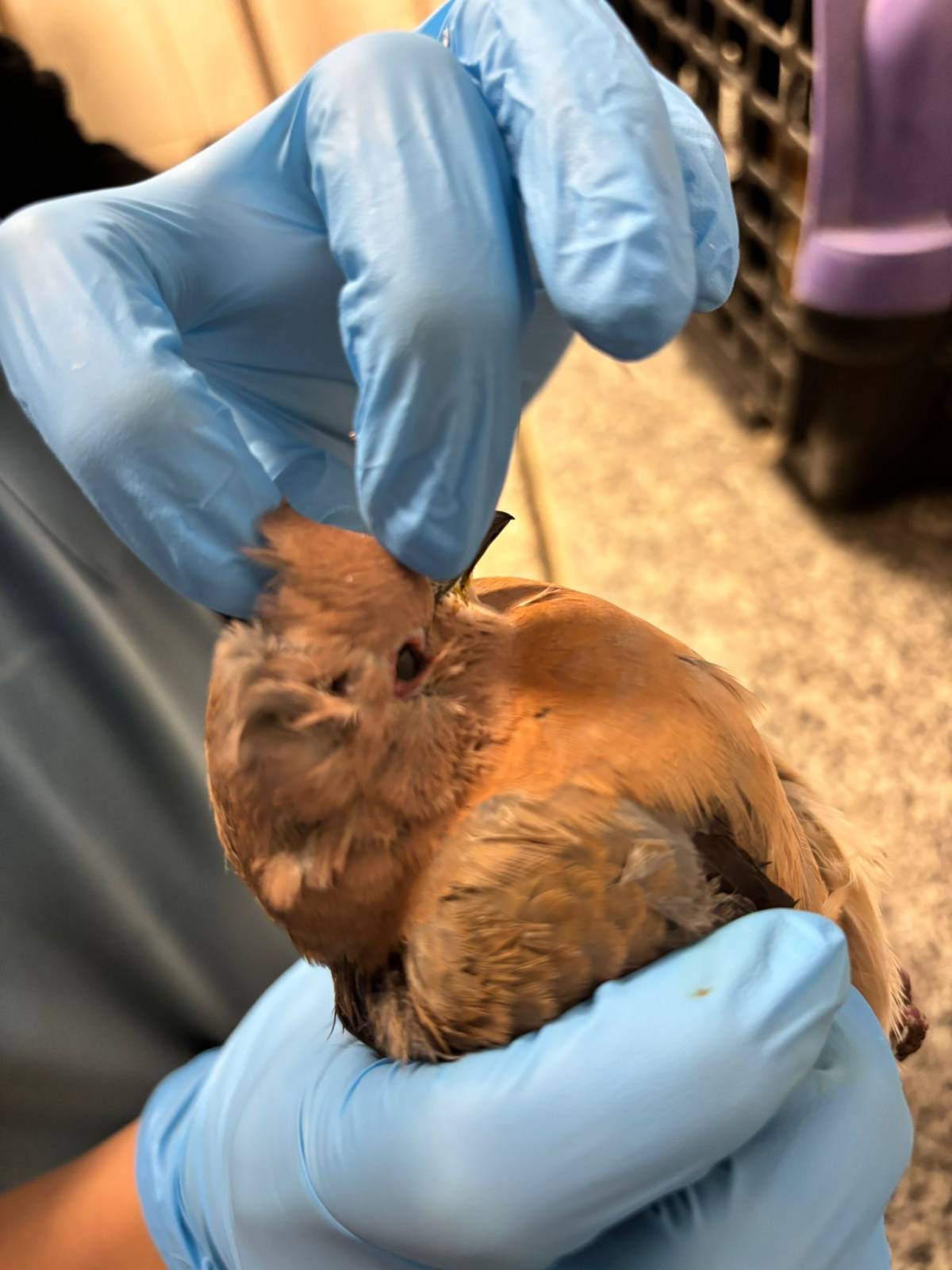 İzmir’de umudu büyüten görüntüler