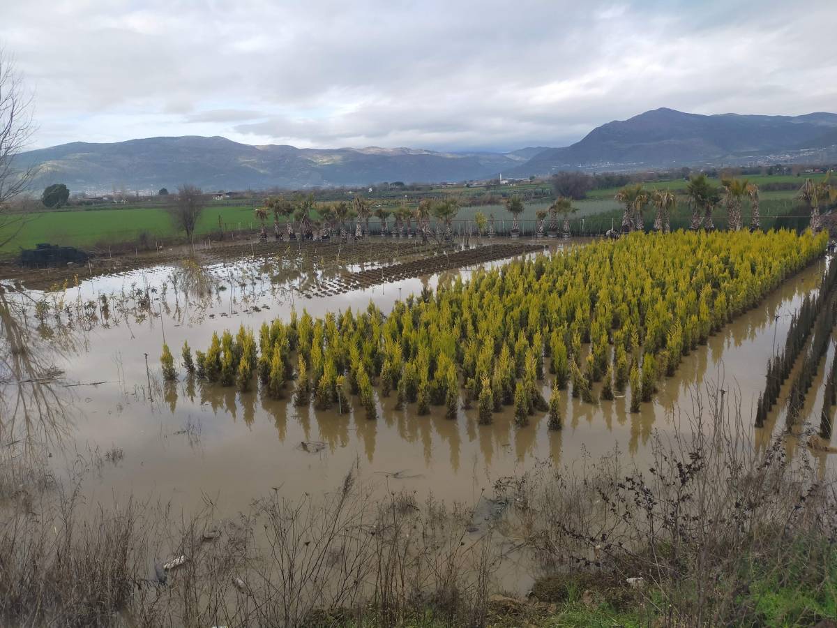Sağanak yağış Ödemiş'te zarara neden oldu