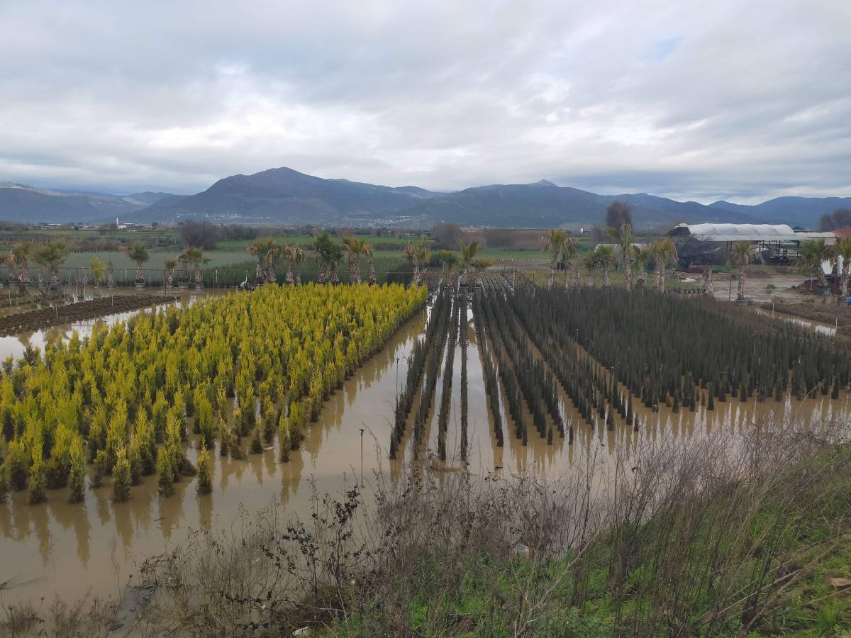 Sağanak yağış Ödemiş'te zarara neden oldu