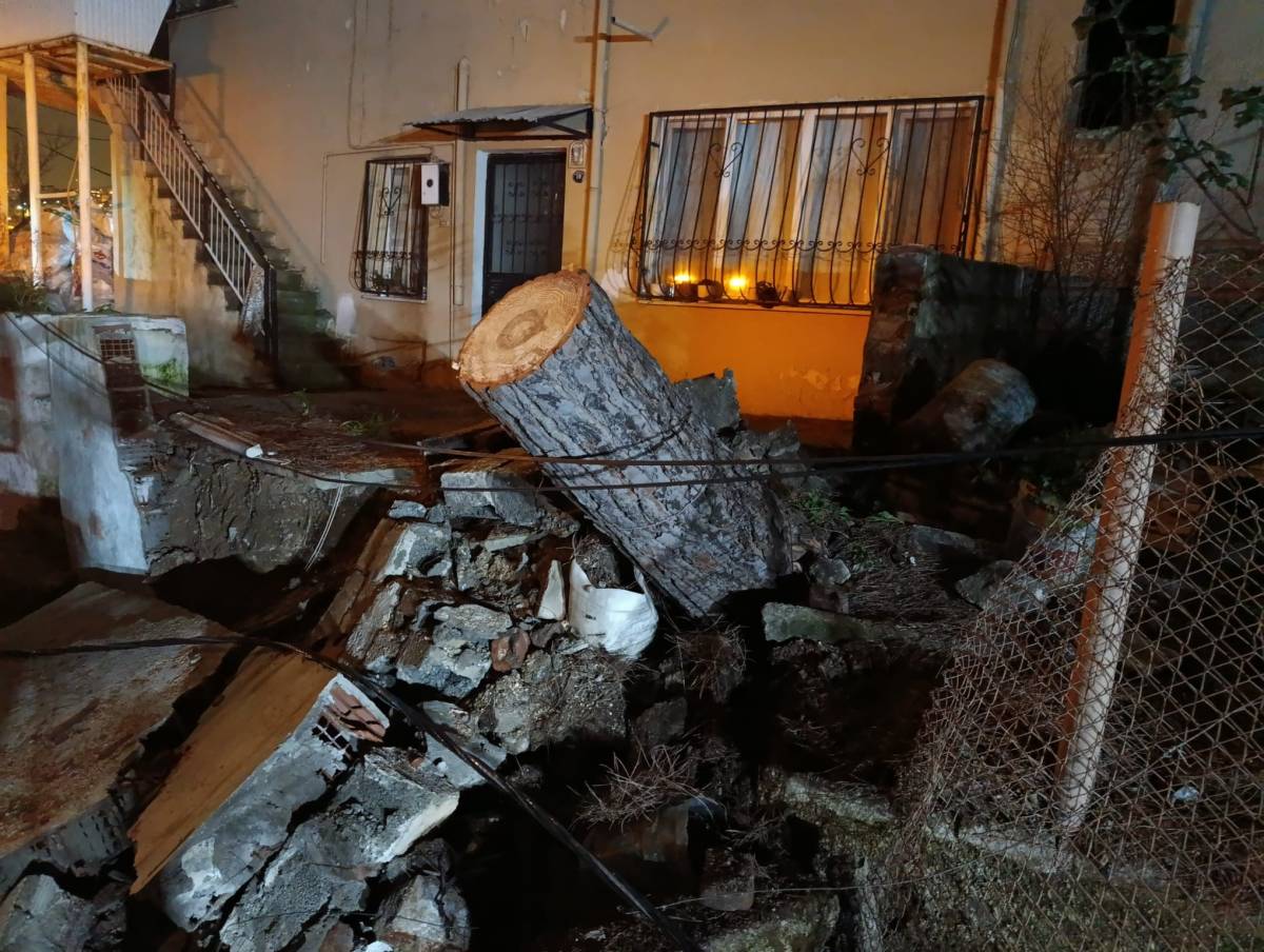 İzmir'de fırtına nedeniyle devrilen ağaç alev aldı