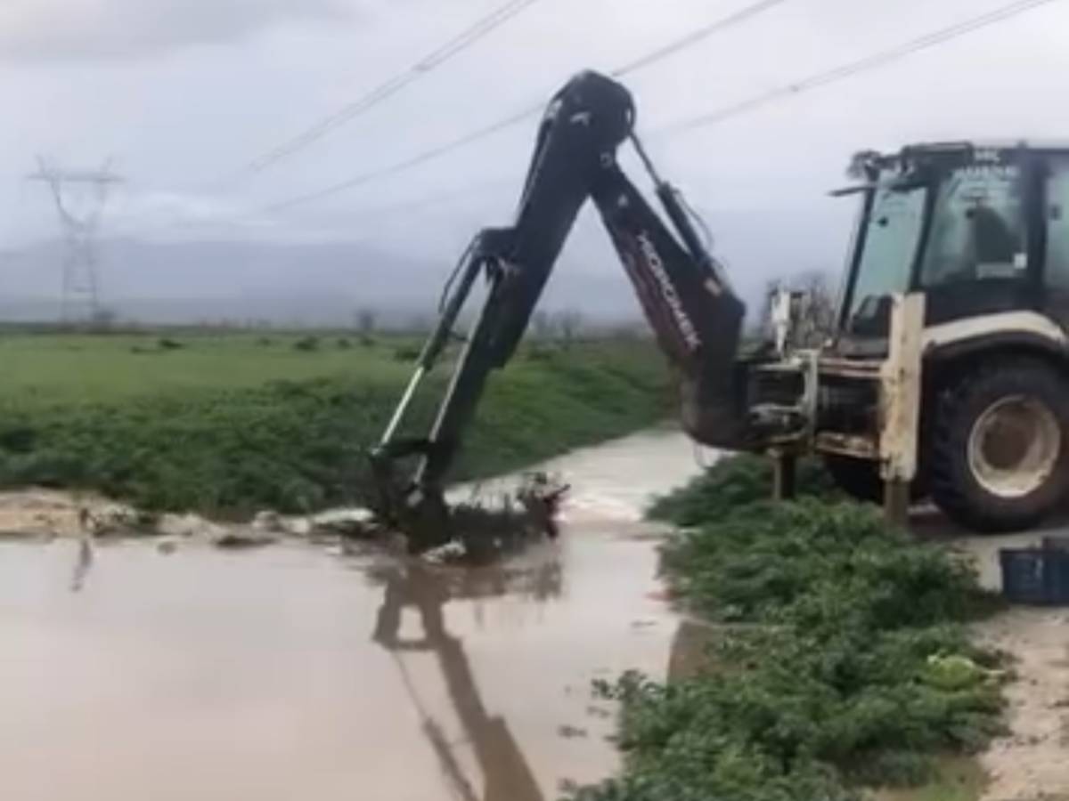 Küçük Menderes Nehri taştı, ekinler ve yollar zarar gördü