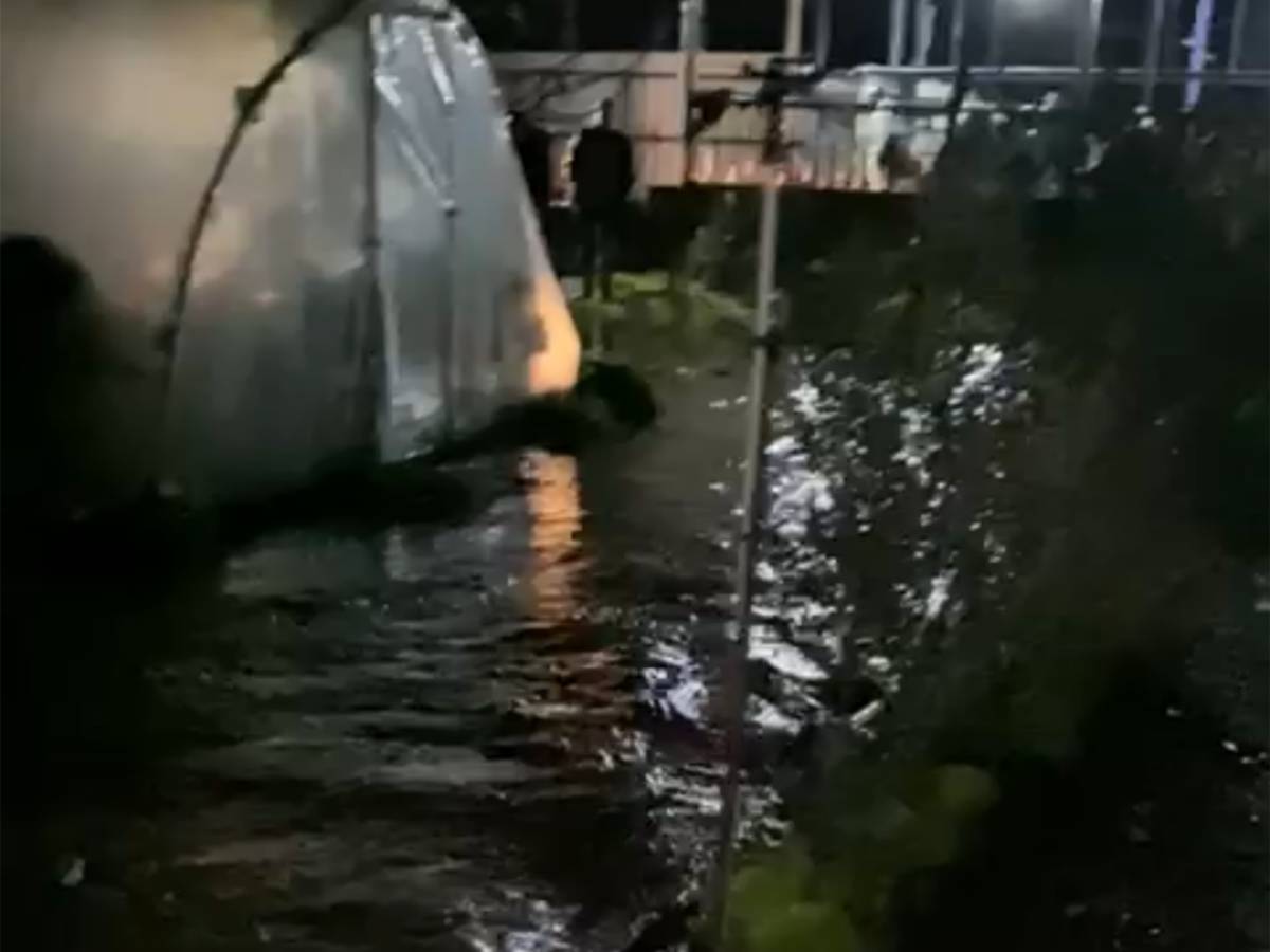 Küçük Menderes Nehri taştı, ekinler ve yollar zarar gördü