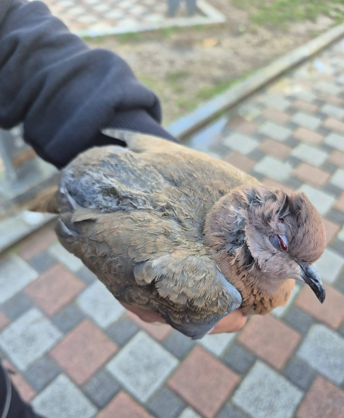İzmir’de umudu büyüten görüntüler