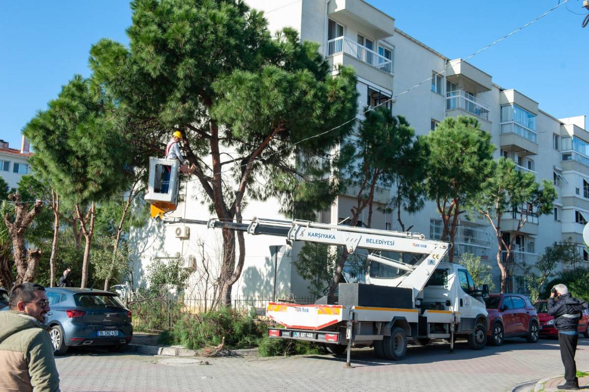 Karşıyaka’da budama seferberliği: Ağaçlar bahara hazırlanıyor