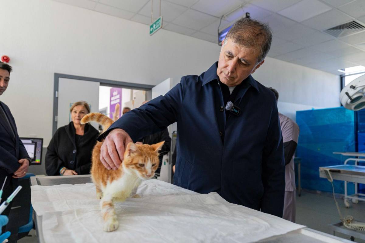 Başkan Tugay'dan İzmirlilere çağrı
