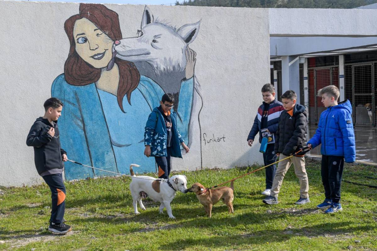 İzmir’de 2 bin 300 patili yuva bekliyor