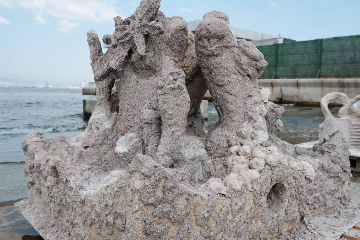 Deniz kabuklarıyla Körfez’e yeni hayat