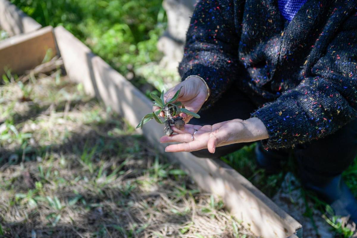 Meslek Fabrikası kursiyeri üretici oldu