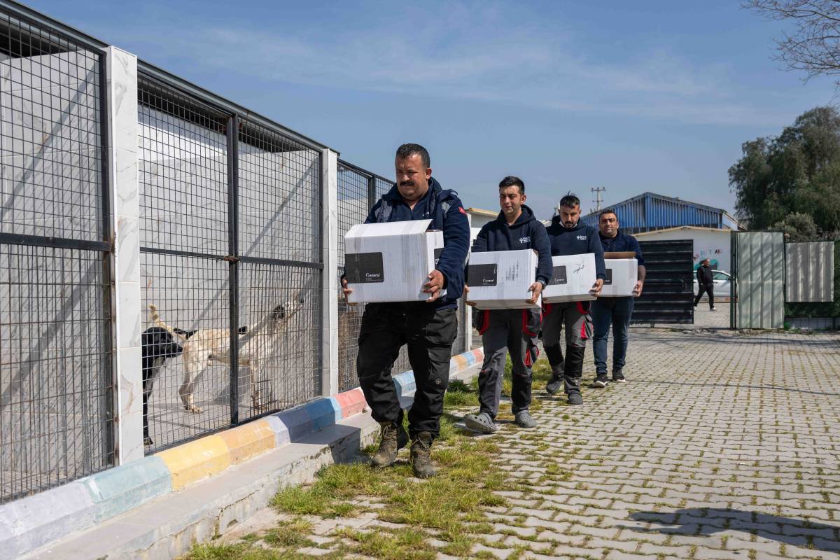 Bornova’da can dostlara büyük destek, gıda bağışı